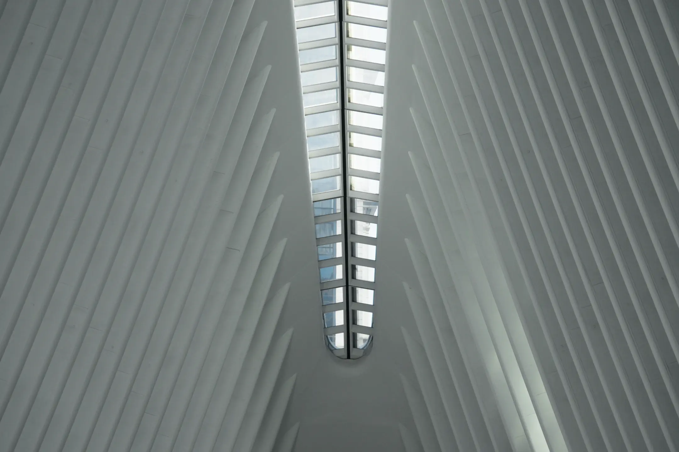 The Oculus