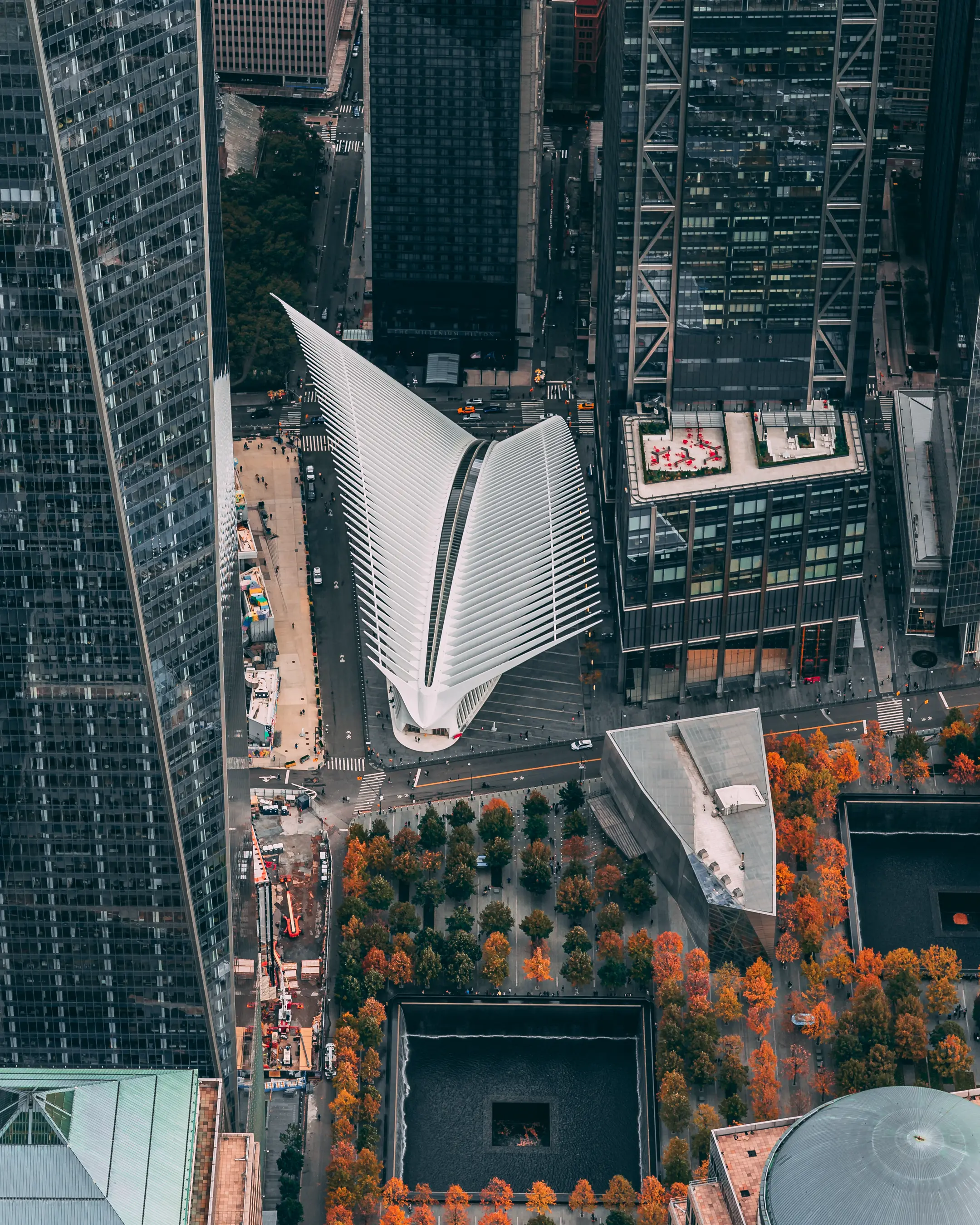 Oculus